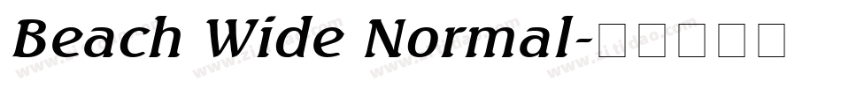 Beach Wide Normal字体转换